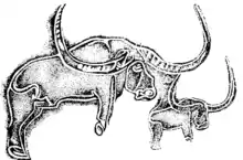 Le terme « bubale » désigne un buffle africain fossile (Bubalus antiquus) ayant vécu dans le Sahara.