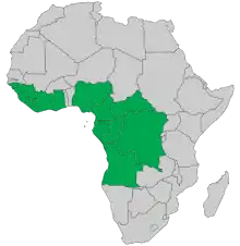 Carte de l'Afrique avec certains pays coloriés en vert