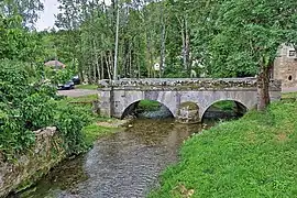 La Morthe juste en aval de sa source à Bucey-lès-Gy.