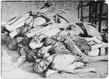 Cadavres à Buchenwald.
