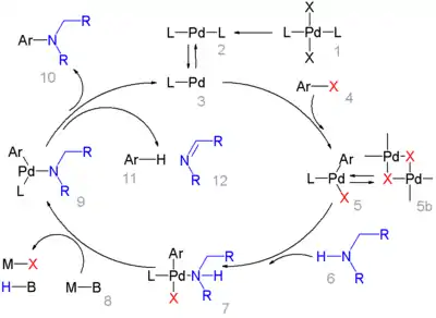Mécanisme réactionnel de la réaction de Buchwald-Hartwig.