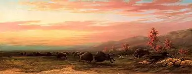 Bisons en combat, 1870