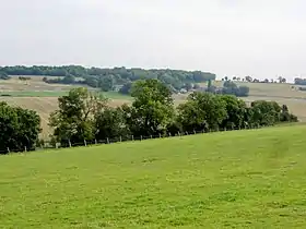 Buchet (Rhénanie-Palatinat)