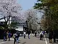 Quartier des samouraïs de Kakunodate à Semboku (Akita)
