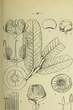 Description de l'image Bulletin du Muséum d'histoire naturelle (1920) (20252031388).jpg.