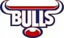 Logo du Bulls