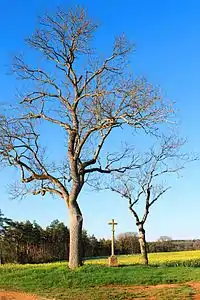 Croix Jacob au piédestal gravé :