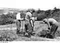 Inhumation de soldats allemands tombés lors de l'attaque du fort en 1940