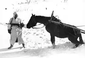 Soldat russe avec un Panjepferd durant l'hiver 1941