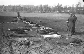 Image illustrative de l’article Massacre de Nemmersdorf