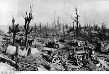Photographie montrant les bois et forêts où les armées tentaient de se cacher ont été ravagés par les pilonnages, ici entre Arras et Bapaume