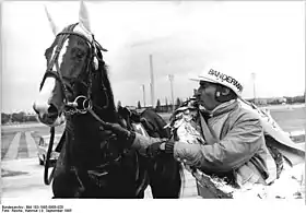 Le trotteur allemand Romulus, après sa victoire au derby du trot de RDA, avec son driver Werner Bandermann en 1985