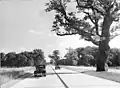 La circulation routière sur la Reichsautobahn près de Dessau en 1939.