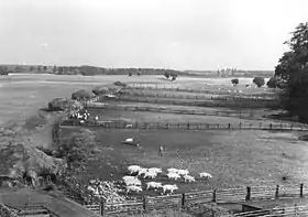 Groß Stieten