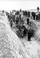 Des hommes du Volkssturm creusent un fossé antichar durant la bataille de Berlin dans les environs de la ville (février 1945).