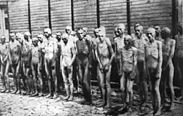 Photographie en noir et blanc de prisonniers de guerre  soviétiques, nus et émaciés, dans le camp de concentration de Mauthausen