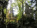 Burgruine Fluhenstein (ruine du château)