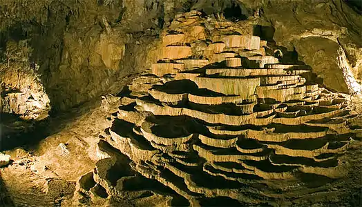 Concrétion dans les grottes.