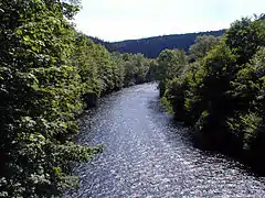 La rivière Wupper aux forêts de Wuppertal.