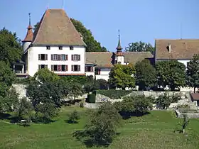 Image illustrative de l’article Château de Burgistein
