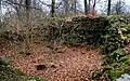 Ruines du château fort de Weisdin