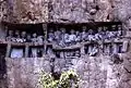 Site funéraire toraja en Indonésie : balcon creusé dans la falaise avec exposition de poupées à l'effigie des défunts.