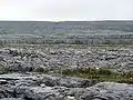 Paysage typique du parc national du Burren.