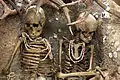 Téviec : deux squelettes de jeunes femmes (trouvés lors des fouilles de 1886).
