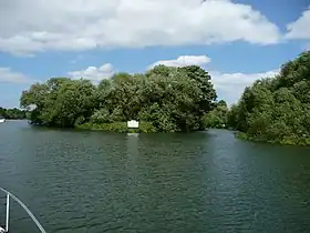 Vue de l'île, le 28 juin 2008.