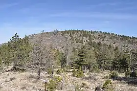 Vue de Bush Mountain.