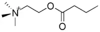 Image illustrative de l’article Butyrylcholine