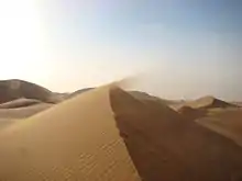 Photographie d'une dune.