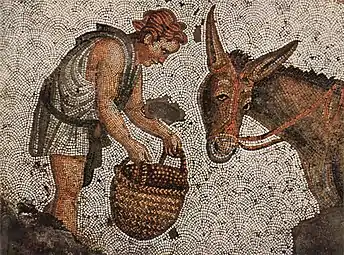 Mosaïque de pavement – Enfant et âne (vers Ve siècle)
