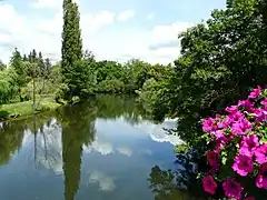 La Cère en amont du pont de la RD 940.