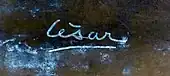 signature de César