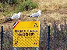 Photo en couleurs montrant un panneau jaune avec écrit « Défense de pénétrer, danger de mort », le symbole d'une tête de mort et un triangle avec un symbole d'une explosion. En haut à gauche du panneau, un petit ruban bleu blanc rouge aux couleurs de la France est dessiné. Deux goélands se tiennent sur le panneau, et un grillage est visible devant. En arrière plan, de l'herbe.