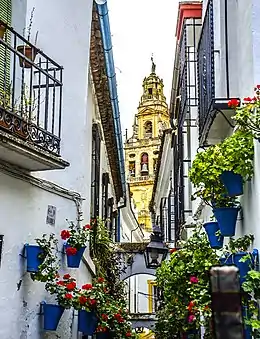 Calleja de las Flores, une des rues les plus populaires et touristiques de la ville.