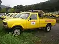 Camion-citerne feu de forêt léger six cents litres de patrouille de prévention État Peugeot Dangel de la DDAF du Var en 2007.