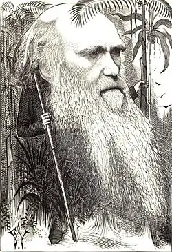 Image illustrative de l’article Darwin et la Science de l’évolution