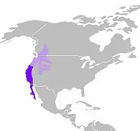 Description de l'image C. californica distribution.JPG.