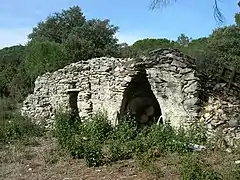 Tine (à droite) et capitelle attenante.