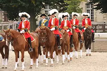 Photo de cavaliers habillés de rouge et or avec un chapeau noir à grande plume blanche, sur des chevaux à robe brune