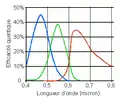 CCD interligne + micro-lentilles