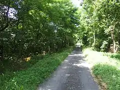 Saint Just-sur-Loire, chemin des canaux secs, le long du Furens (avant le pont ancien).