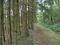 Dans le Bois Guyot après avoir passé le pont des Bonnets en direction de St Marcel de Félines (vue en direction de Neulise).