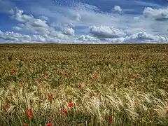 Sur le Chemin des moines (entre La Vieille-Lyre et La Neuve-Lyre)