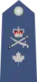 Canada Air Force, Brigadier général