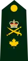 Brigadier-général de l'Armée canadienne