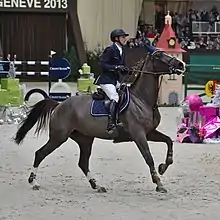 cheval monté au galop u de profil avec une expression faciale de souffrance et de concentration.