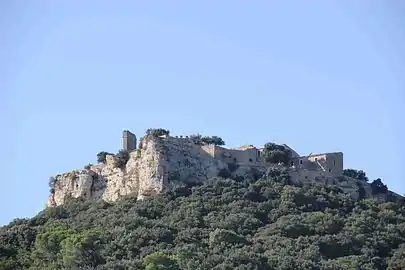 Château de Gicon.